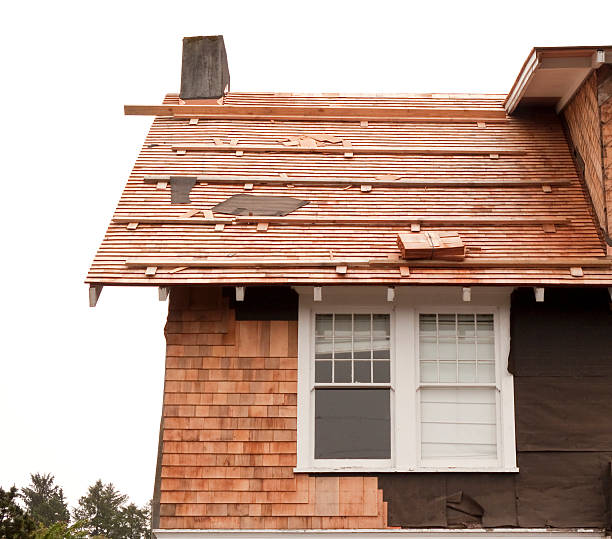 Best Siding for New Construction  in Richboro, PA